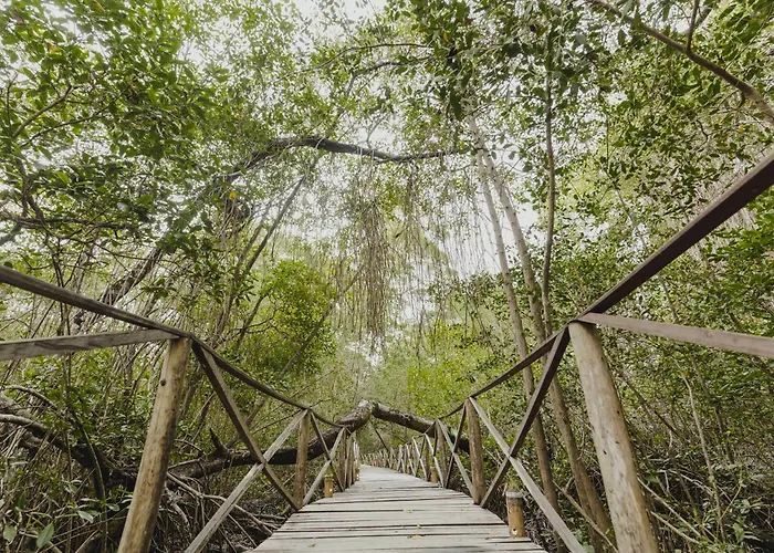 Uuttaaka Eco-Hotel